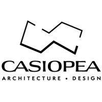 casiopea group logo image