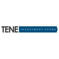 tene capital logo image