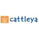 logo of Cattleya Srl