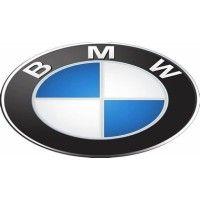 bmw logo image