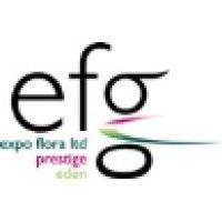 efg europe logo image