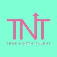 true north talent logo image