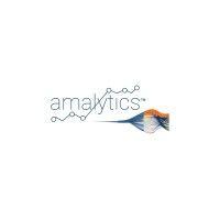 amalytics software ltd logo image