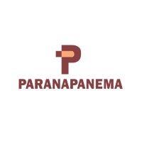 paranapanema s.a. logo image