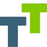 toptalent.in logo image