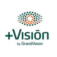 +visión logo image