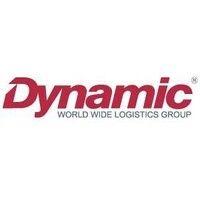 dynamic world wide logistics group logo image