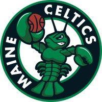 maine celtics logo image