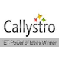 callystro infotech private limited logo image