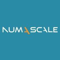 numascale as logo image