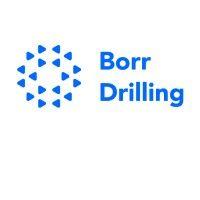 borr drilling logo image