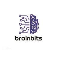 brainbits logo image