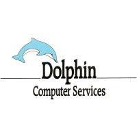 dolphin computer services ltd logo image