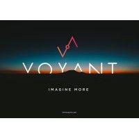 voyant holding, inc.