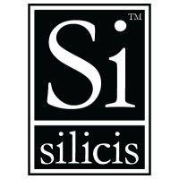 silicis technologies inc logo image