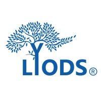 lyodssoft logo image