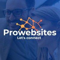 prowebsites.be logo image