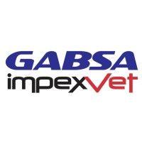 gabsa logo image