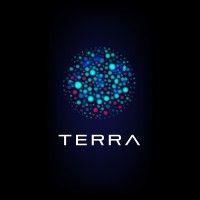 terra analytics logo image