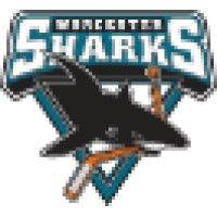 worcester sharks logo image