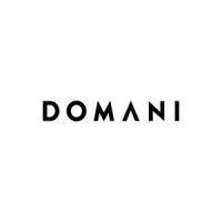 domani studios logo image