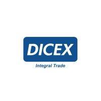 dicex international inc. logo image