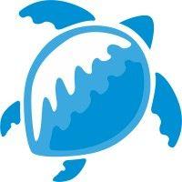 blue turtle technologies logo image