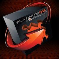 platinum db consulting logo image