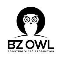 bz owl logo image