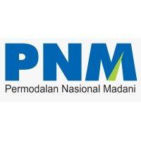 pt. permodalan nasional madani (persero) logo image