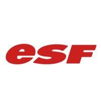 esf ecole du ski français logo image