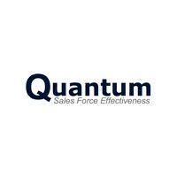 quantum sfe logo image