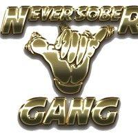 never sober gang llc logo image