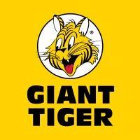 giant tiger logo image