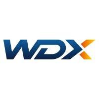 wdx group logo image