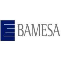 bamesa logo image