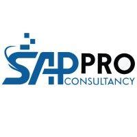 sappro - sap professional consultancy logo image