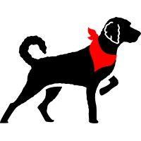 red collar consulting, llc