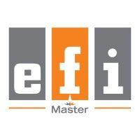 the master group/le groupe master - efi concepts logo image