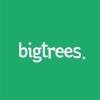 bigtrees logo image