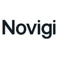 novigi logo image