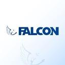 logo of Falcon Consulting