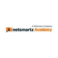 netsmartz academy logo image