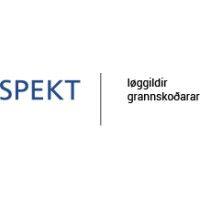 spekt logo image