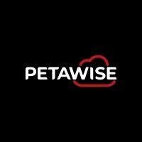 petawise technologies logo image