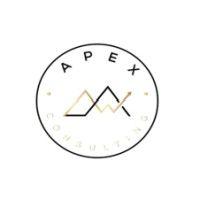 apex consulting logo image