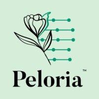 peloria logo image