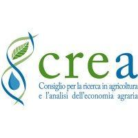 crea ricerca logo image