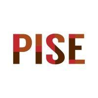 project incubator for young social entrepreneurs (pise) logo image