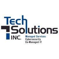 techsolutions, inc. logo image